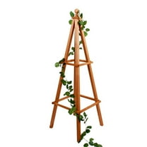 Pemberly Row Medium Obelisk Trellis for Climbing Vines - Flowers -Vegetables
