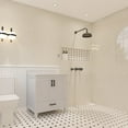 thumbnail image 2 of Ayna Decors Rooh 30 in White Bathroom Vanity Set with White Quartz Countertop | Ceramic Sink | 2 Soft Closing Doors | 1 Full Extention Soft Close Drawer | Black Hardware, 2 of 10