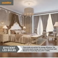 thumbnail image 6 of Sunlite LED B11 Torpedo Tip Chandelier Light Bulb, 5 Watts (40W Equivalent), European E14 Base, Dimmable, 2700K Warm White, Clear, 6 Pack, 6 of 6