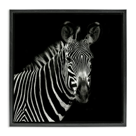 Stupell Industries Jungle Zebra Portrait Animals Photography Black Floater Framed Canvas Art Print Wall Art, 18 x 18