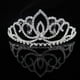 thumbnail image 4 of Minnieouse Diadema con diamantes de imitación, estilo elegante, accesorios de moda para el cabello, adorno para la cabeza para mujeres y niñas, Type3 NO3, 4 of 6