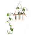 thumbnail image 1 of Tubo de ensayo de planta hidropónica de vidrio montado en la pared Tubo de ensayo hidropónico Decoración de pared Colgante de madera maciza Jarrón de pared montado en la pared, 1 of 4