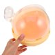 thumbnail image 5 of unbranded Portátil Para Mascotas Pequeñas En Plástico Resistente Color Amarillo Para, 5 of 6