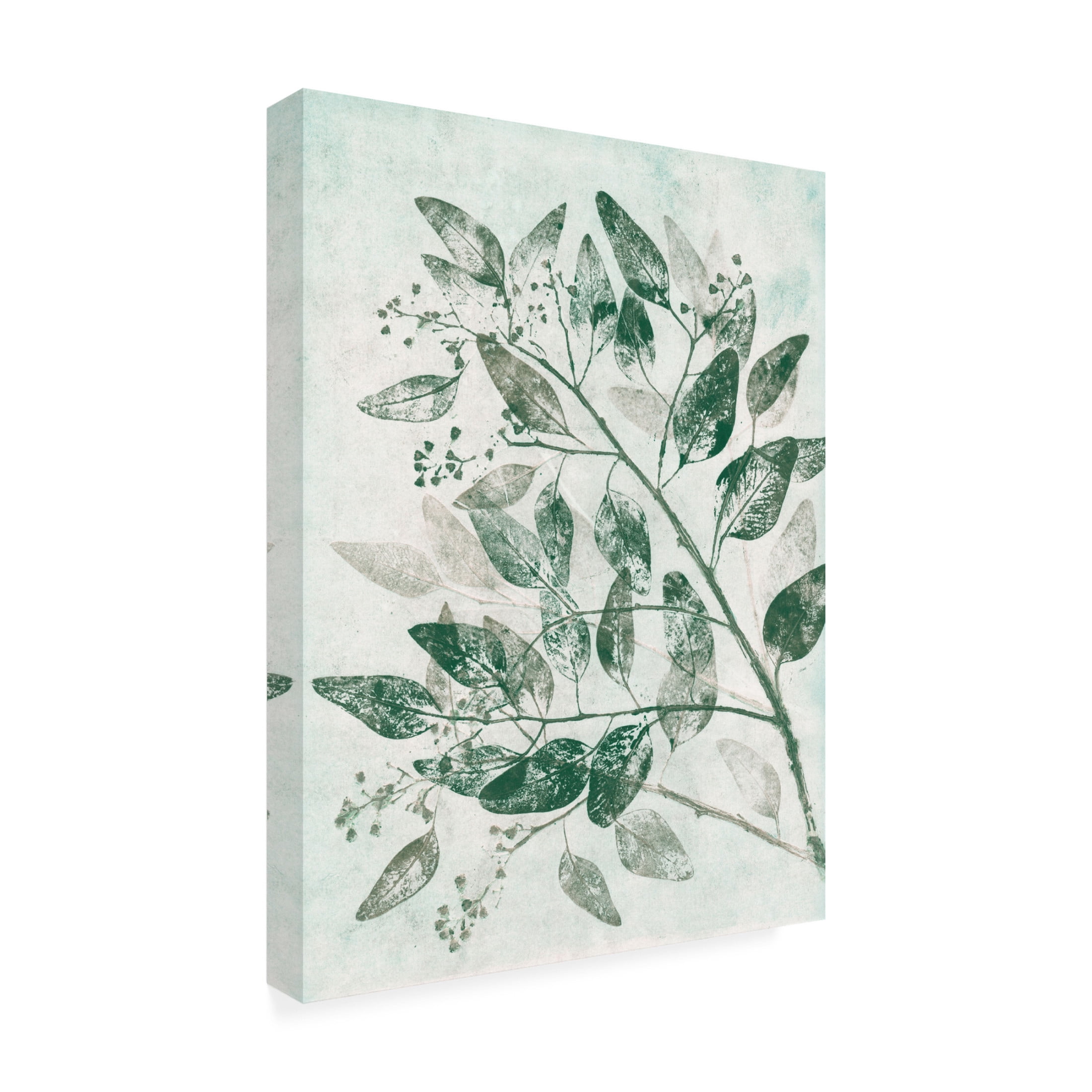 Canvas Wall Art - Pernille Folcarelli 'Eucalyptus 1 Green' Wall Art for Living Room, Bedroom, or Office Décor by Trademark Fine Art - 18 x 24 Inches