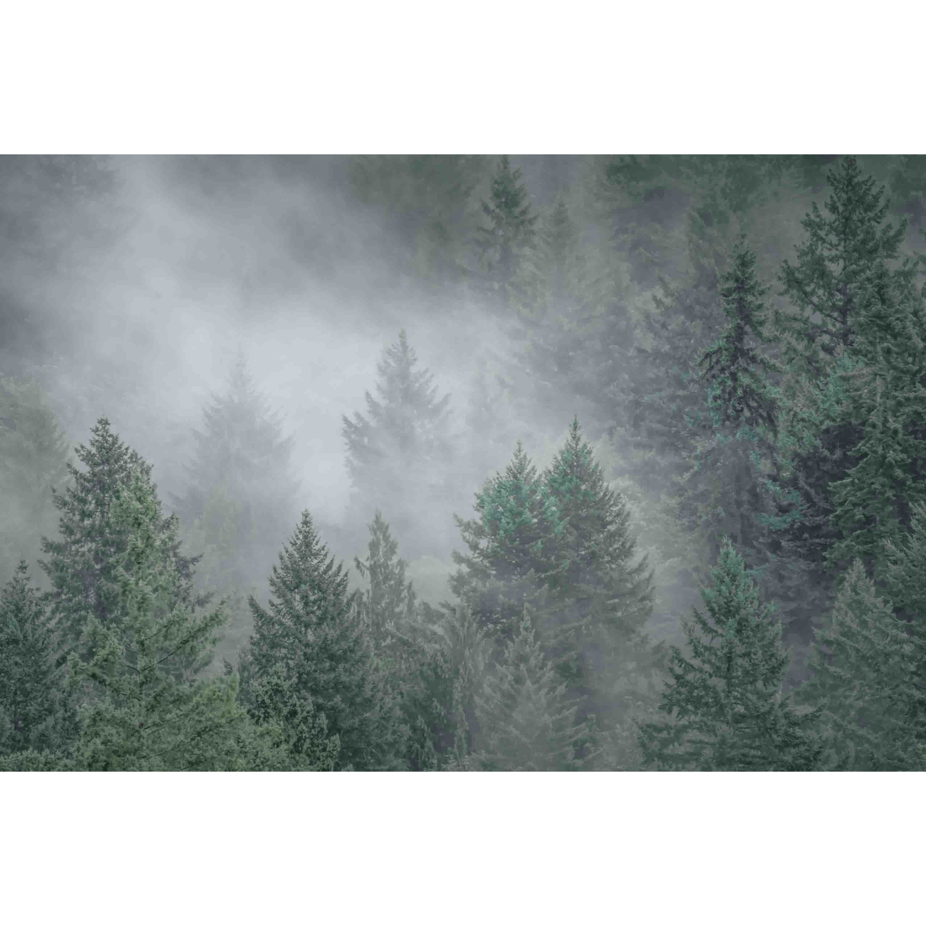 Marmont Hill "Draped in Clouds" Painting Print on Canvas
