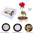 thumbnail image 4 of Rosa Eterna Rosa Encantada, Adorno de Escritorio de Navidad de Rosa Encantada, Pantalla de Lámpara de Vidrio LED de Rosa Falsa - para Decoración del Hogar de la Oficina de Bodas, Regalo para Esposa Rojo Verde, 4 of 5