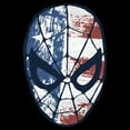 thumbnail image 2 of Men's Marvel 4th of July Spider-Man American Flag Mask Graphic T-Shirt, 2 of 5