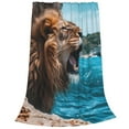 thumbnail image 2 of Vsdgher Ice Blue Coastal Lion Ultra-Soft Micro flannel Blanket Throw Blankets for Couch Sofa, Bed (4 sizes)-40"x30", 2 of 7