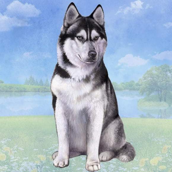 E&S Imports Ceramic Coaster - Siberian Husky (1)