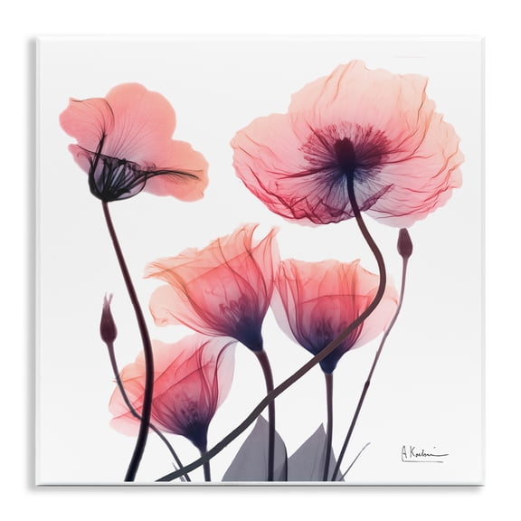 Stupell Industries Elegant Modern Poppy Buds Floral Photography Unframed Art Print Wall Art, 12 x 12