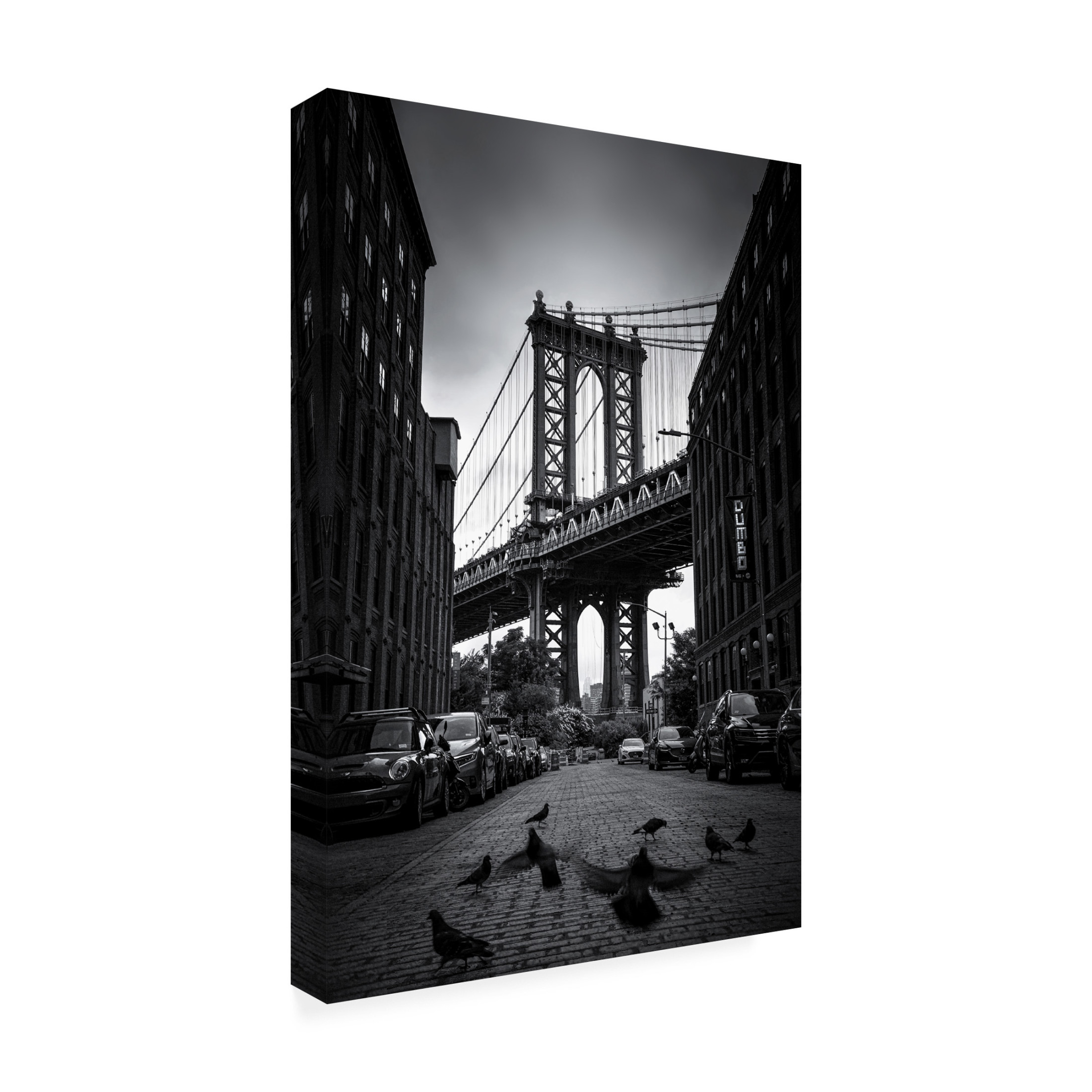Trademark Fine Art Catherine W  Dumbo - NYC Canvas Wall Art