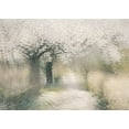 thumbnail image 2 of Talen, Nel 24x18 Gold Ornate Wood Framed with Double Matting Museum Art Print Titled - Cherry blossom, 2 of 4