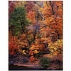 Trademark Art "I love Autumn" Canvas Art by Kurt Shaffer, 18x24
