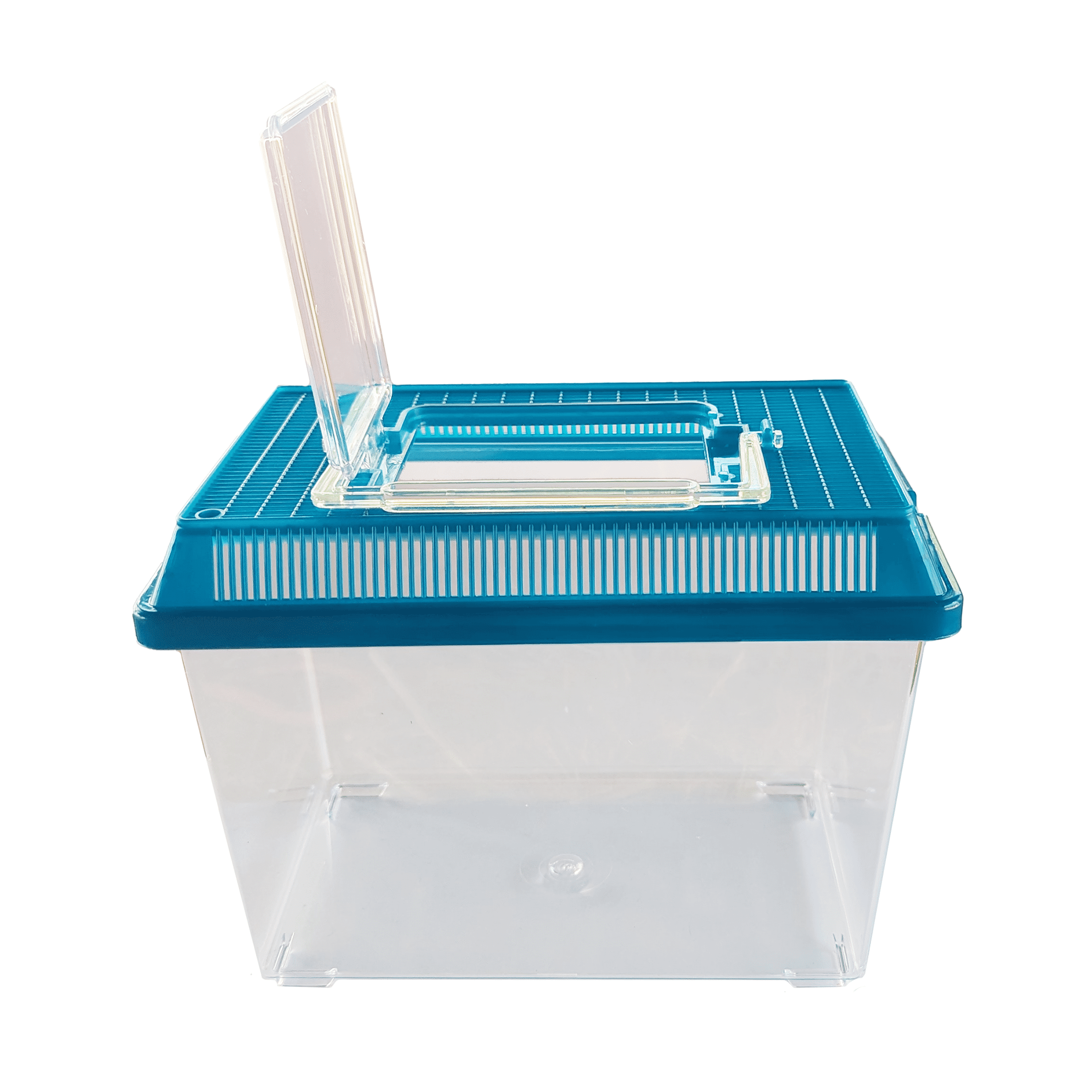 Vibrant Life Small Pet Carrier