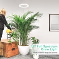 thumbnail image 2 of 10" Grow Light for Indoor Plants, Full Spectrum Plant Lamp with160 LEDs, 4H/8H/12H Timer, 10 Dimmable Levels, 3 Spectrum Modes, Height Adjustable 61", Ideal for Growing Large Tall Plants, 2 of 7