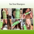 thumbnail image 6 of Tea Tree Oil Shampoo Sulfate Free - Deep Cleansing Vegan Tea Tree Shampoo for Oily Hair and Scalp - Daily Clarifying Shampoo for Build up with Rosemary Essential Oil for All Hair Types 25 Fl Oz, 6 of 12