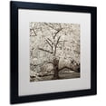 thumbnail image 2 of Trademark Fine Art "Hampton Magnolia II" Canvas Art by Alan Blaustein, White Matte, Black Frame, 2 of 4