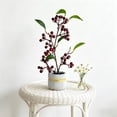 thumbnail image 1 of Artificial Fruit Bonsai Tree Fake Plants Decor | Plastic Faux Potted Greenery Arrangement | Mini Tabletop Decoration for Home Office Desk Windowsill Indoor, 1 of 6