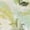 Stonewood Palm Jungle, variant on Gloria Vanderbilt Womens Amanda Stretch Capri