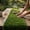 Green, variant on Dining Table Runner,Fake Hay,Artificial Thatch Grass Roof,Tiki Bar Hut Thatch Roofing Roll, Waterproof & Fire-Resistant, Palapa Tiki Roof Mat for Patio Pool(Khaki 6ft)