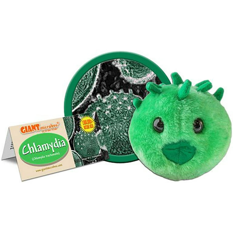 Chlamydia Walmart