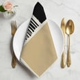thumbnail image 2 of Beige Cloth Napkins, Modern Abstract Art Farmhouse Striped Washable and Reusable Dinner Napkins Set of 2, Table Napkin for Kitchen Party Birthday Wedding Hotel Housewarming 20"x20", 2 of 9