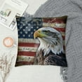 thumbnail image 2 of Orinice Bald Eagle American Flag Declaration of Independence Graphic Decorative Pillow Cover Short Plush 1PC 24x24in, 2 of 5