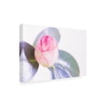 thumbnail image 2 of Renee W. Stramel 'Halogen Bloom II' Canvas Art, 2 of 3