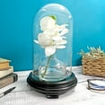 thumbnail image 3 of Plymor 5.5" x 10" Glass Display Dome Cloche (Black Wood Veneer Footed Base), 3 of 3