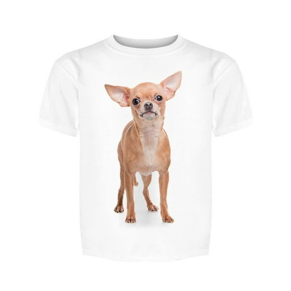 Chihuahua Is Looking At You Tee Girl's -Image by Shutterstock