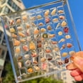 thumbnail image 4 of Acrylic Magnetic Seashell Display Box Seashell Display Box Diamond Storage Box, 4 of 10