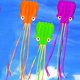 thumbnail image 5 of Software Pulpo Flyer Kite Largo Colorido Cola Para Niños Suave Pulpo Afortunado Sencillez, 5 of 5