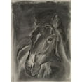 thumbnail image 2 of Parker, Jennifer Paxton 25x32 Gold Ornate Wood Framed with Double Matting Museum Art Print Titled - Charcoal Horse Study on Grey II, 2 of 4