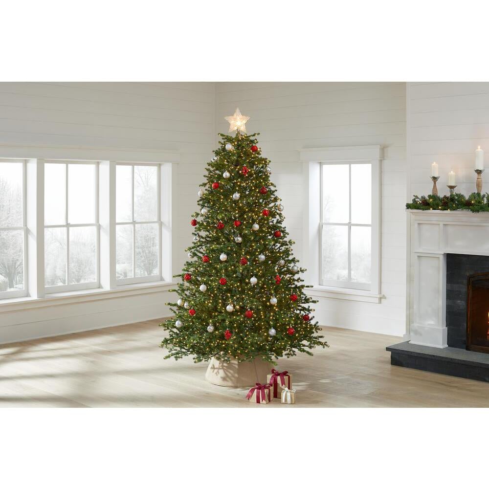 Elegant Grand Fir Christmas Tree Merry Christmas 2021