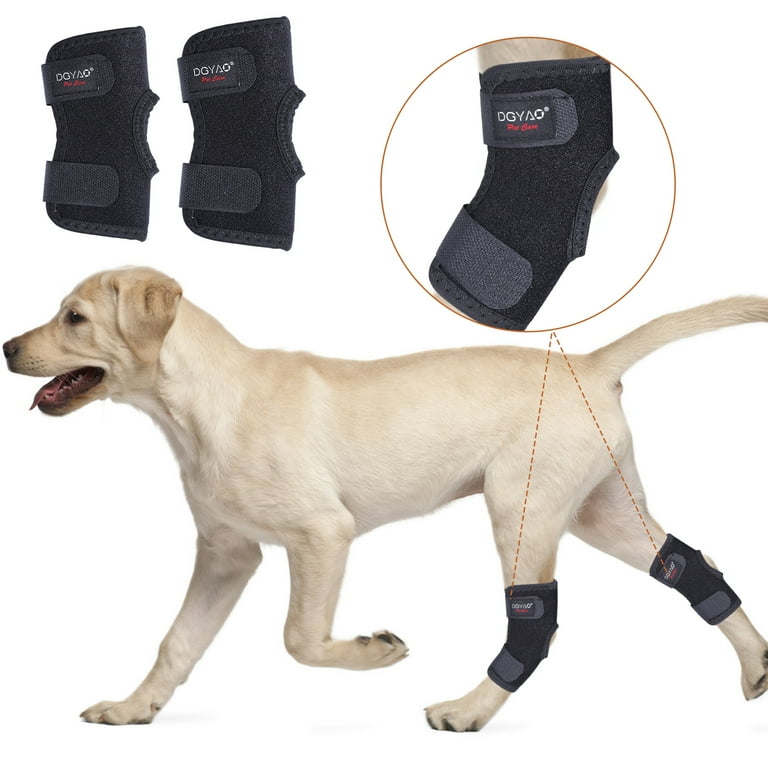 Labra Canine Dog Ice And Heat Therapy Compression Brace Extra