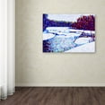 thumbnail image 4 of Trademark Fine Art Mandy Budan Thaw Canvas Wall Art - 24x32, 4 of 4