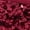 Burgundy, variant on Women's Sequined Ballet Flats