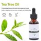 thumbnail image 3 of 30ml Tea Tree Essential Oil Moisturizing Oil Control Pores Shirking Facial Essential Oil, 3 of 4