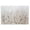 Botanical Meadow Canvas, variant on Stupell Industries Contemporary Modern Botanical Scenery Canvas Art, 30 x 24, by Tim O'Toole