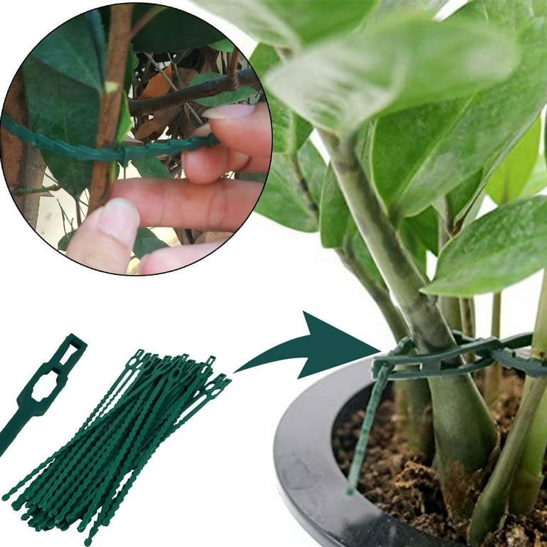 iOPQO Rattan Clip Support Household Ties Cable Ties Reusable For Garden  Adjustable 