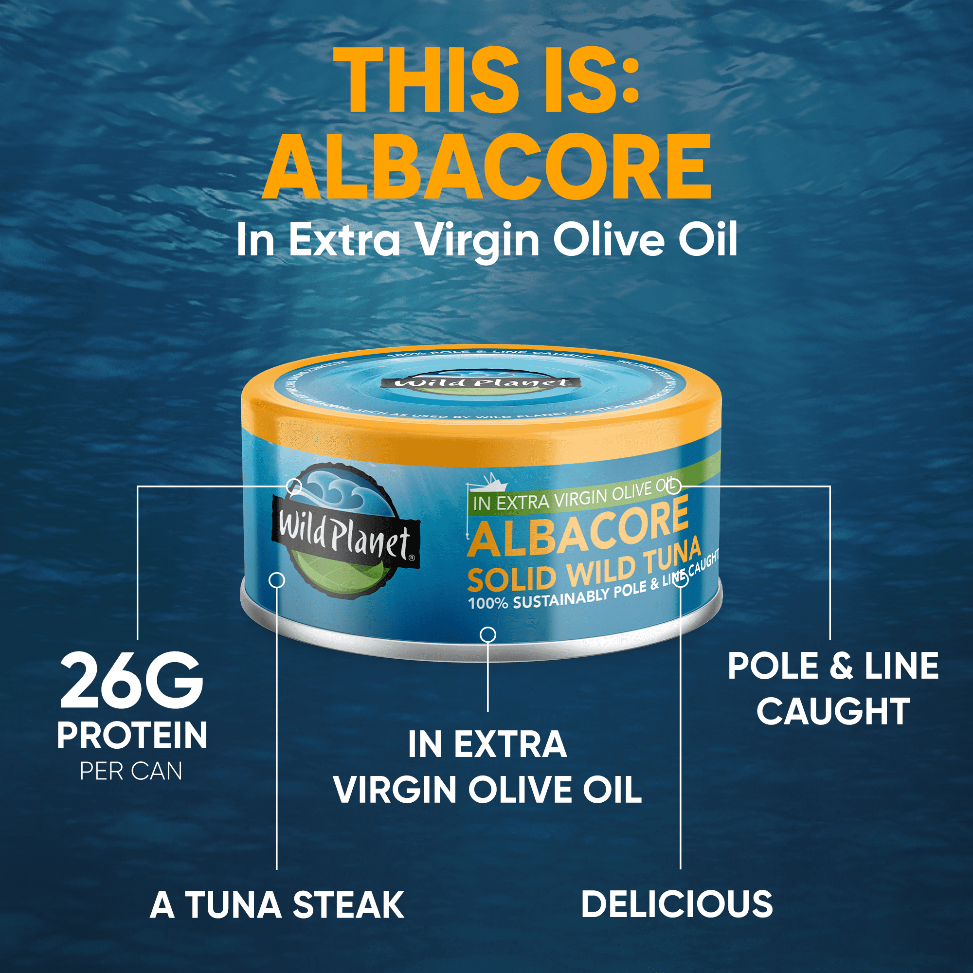 (6 pack) Wild Planet Wild Caught Albacore Tuna in Extra Virgin Olive Oil, 5 oz Can