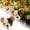 A, variant on Animal-Shaped Bird Nesting Holder Reusable Metal Wire Shelter with Hook Hanging Nesting Material Dispenser for Wild Birds Outdoor Garden Yard