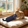 thumbnail image 5 of PoyoKee Interactive Cat Toys for Indoor Cats, 6" x 2.4" Real Catnip Small Soft Catnip Toys, Lightweight Puppy Essentials for Batting Carrying, Black, 5 of 8