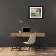 thumbnail image 3 of Bonin, Suzanne 32x26 Black Ornate Wood Framed with Double Matting Museum Art Print Titled - Tiny Beauty, 3 of 4