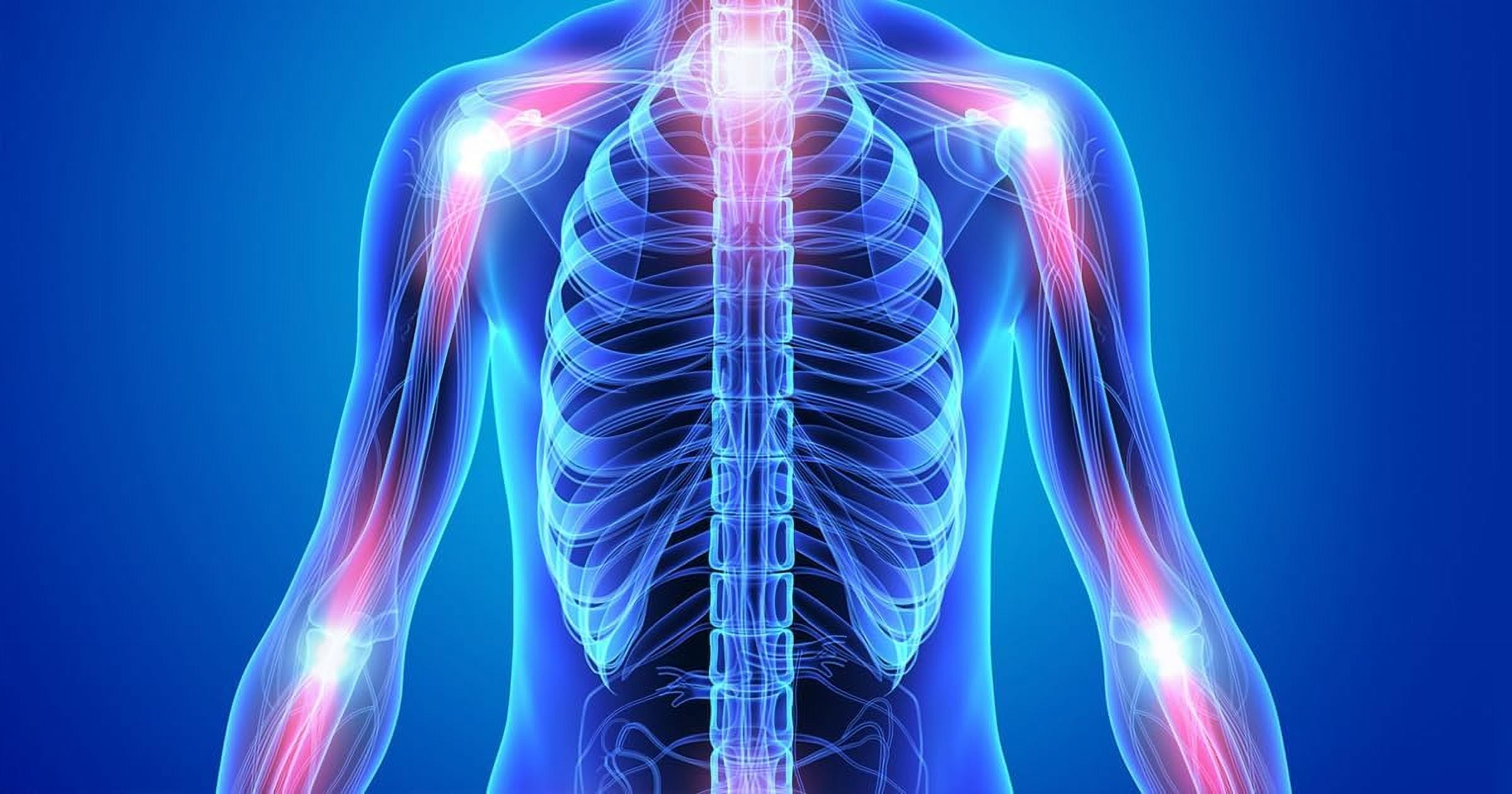 Flamasil ™ by Alternative Health Research: Joint Health and Cellular Repair Supplement, 90 Servings