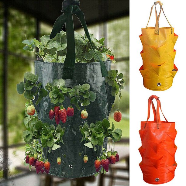 Strawberry Planting Bag Creative Multi-mouth Container Bag Grow Planter Pouch Root Plant Growing Pot Bag Side Home Garden ToolOrangeChina He Qiyong unisex