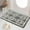 E E, variant on Iumwxz Bathroom Mat Front Door Mat Outdoor Entrance Patio Porch Entrance Mat Non-Slip Proof Easy To Clean 31.5x19.7 Gray Gold Floor Mat Bathroom Rug B Polyester
