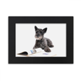 thumbnail image 1 of Cadre Photo de Bureau pour Photographie d'Animaux de Compagnie, 1 of 3
