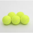 thumbnail image 1 of Tennis Balls, Training Balls For Lessons, Practice, Playing With Pets, 1 of 5