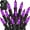 Purple, variant on Morttic Christmas Lights, 1 Pack 50 LED 16FT Battery Operated String Lights with 8 Modes, Xmas Lights for Outdoor Indoor Wedding Party Home Decorations, Multi-Colored